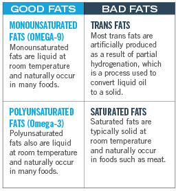 GoodVSBad Fats